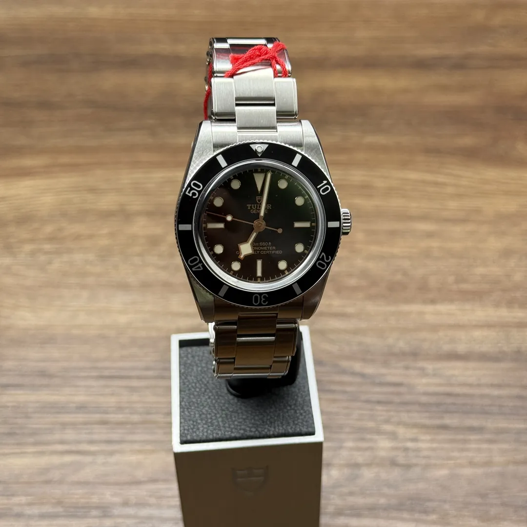 Tudor Black Bay 54 BB54