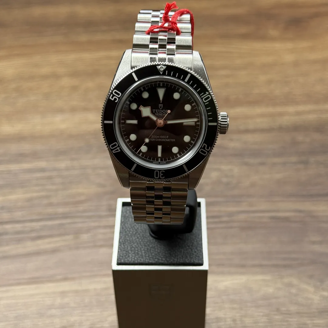 Tudor Black Bay Monochrome on Jubilee