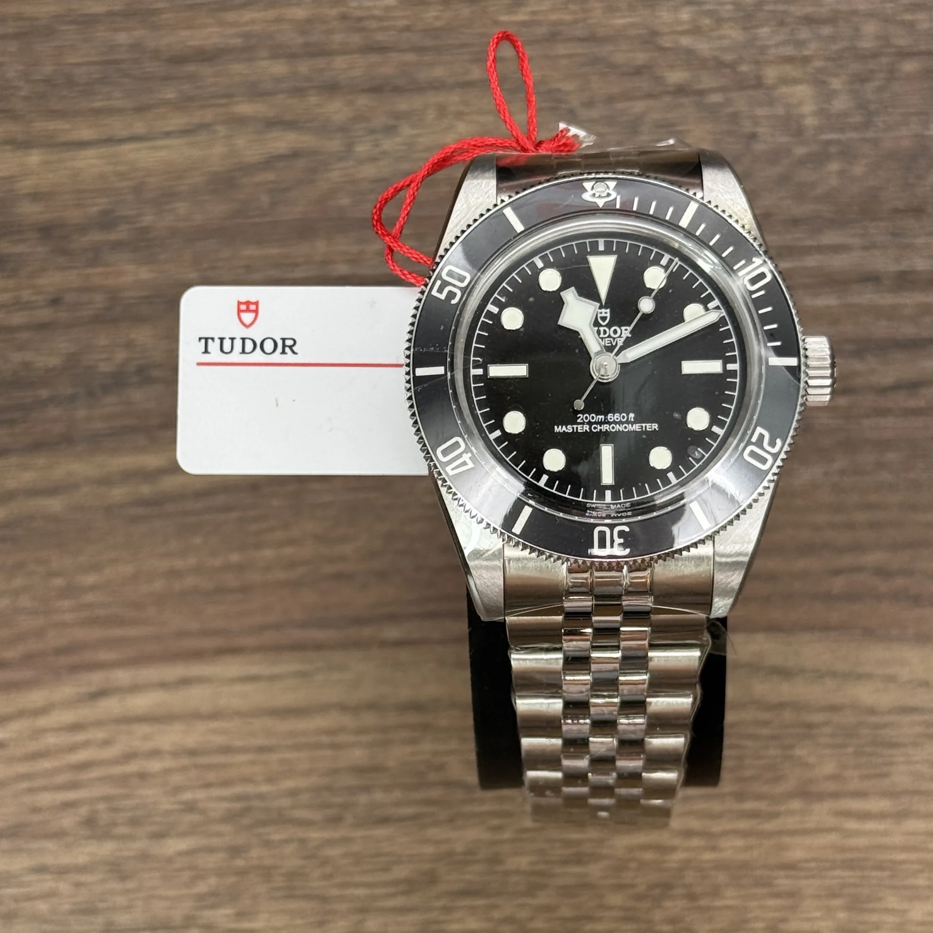 Tudor Black Bay Monochrome