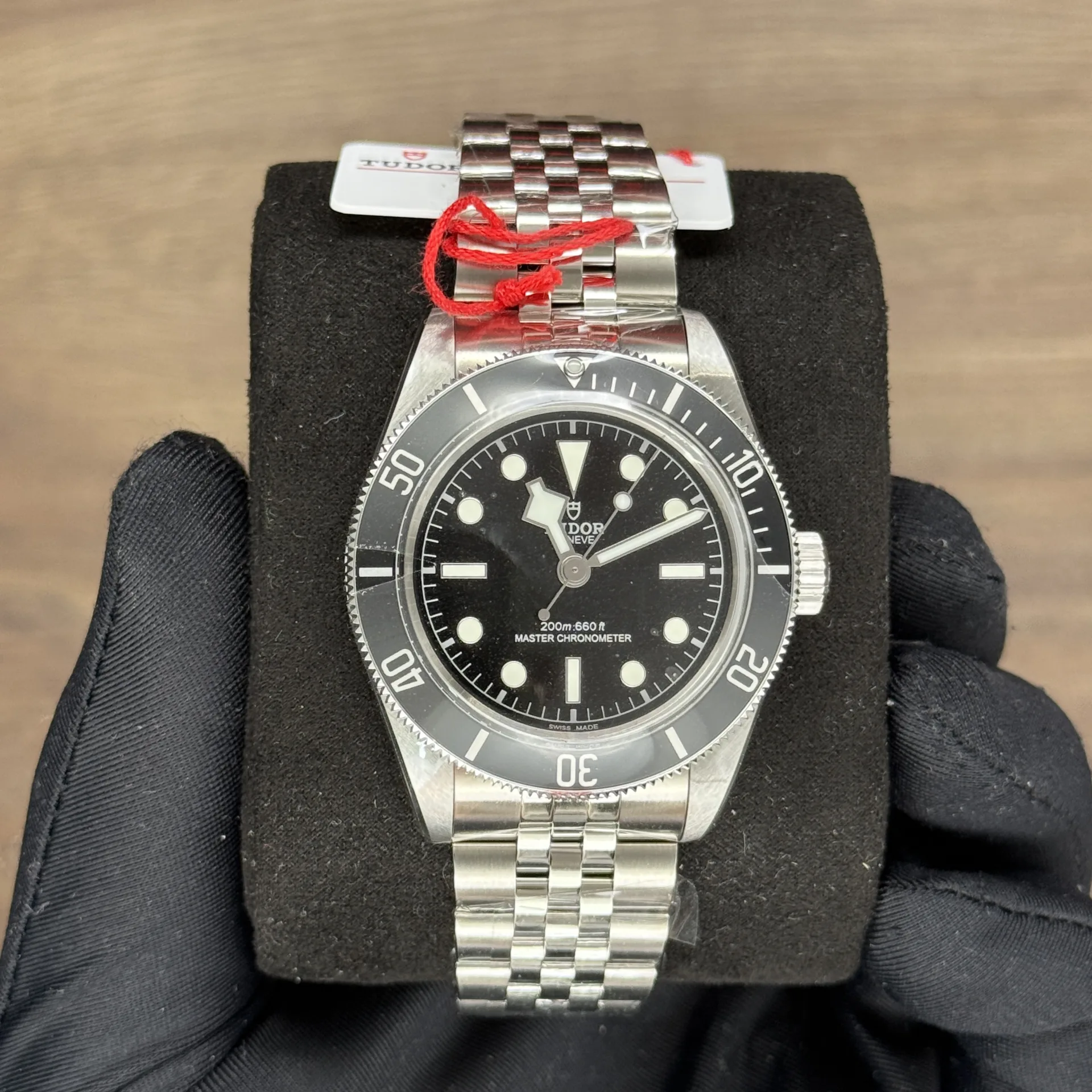 Tudor Black Bay Monochrome