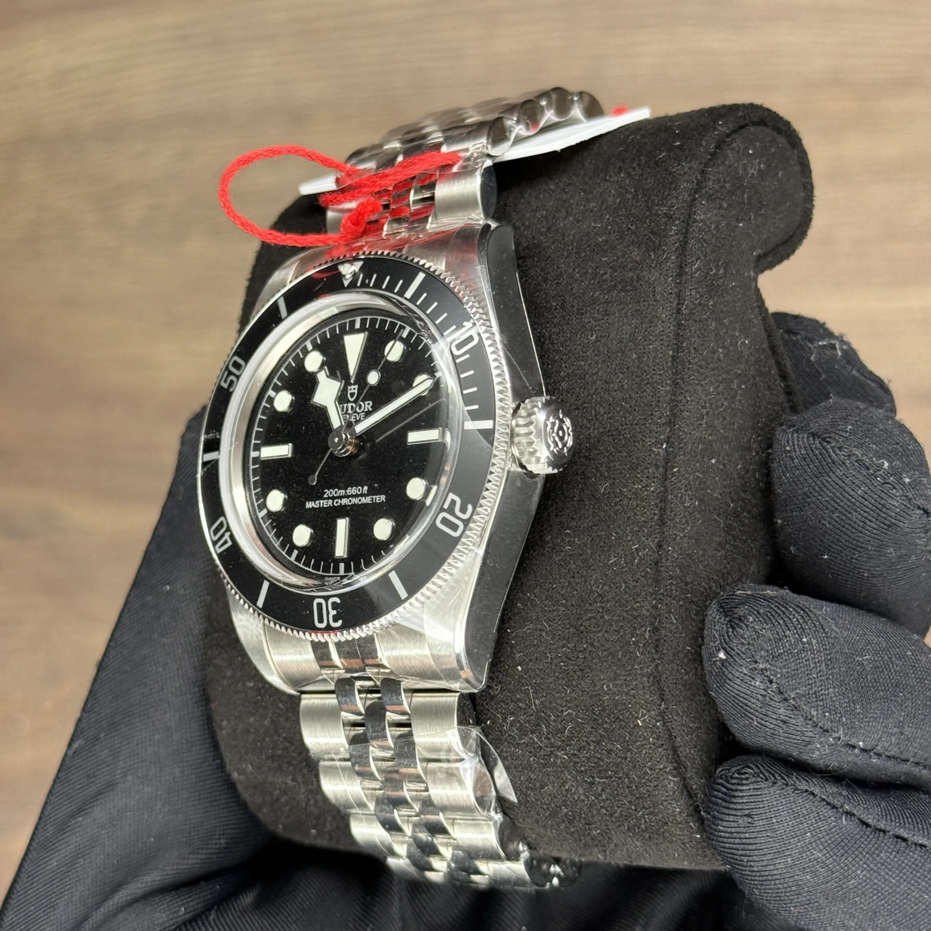 Tudor Black Bay Monochrome
