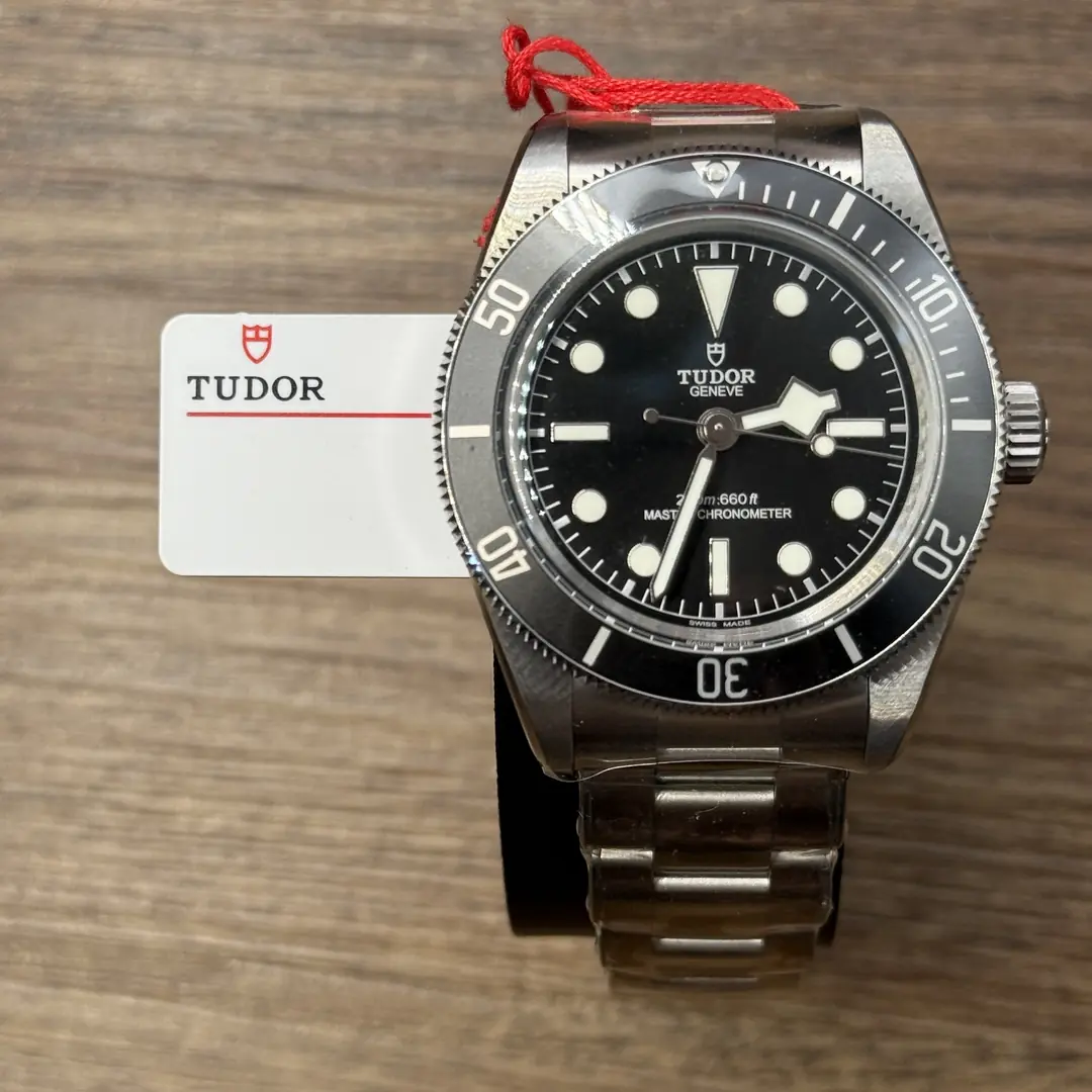 Tudor Black Bay Monochrome