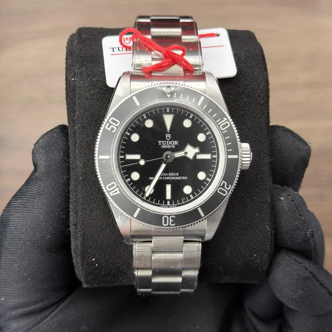 Tudor Black Bay Monochrome