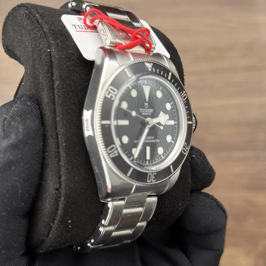 Tudor Black Bay Monochrome