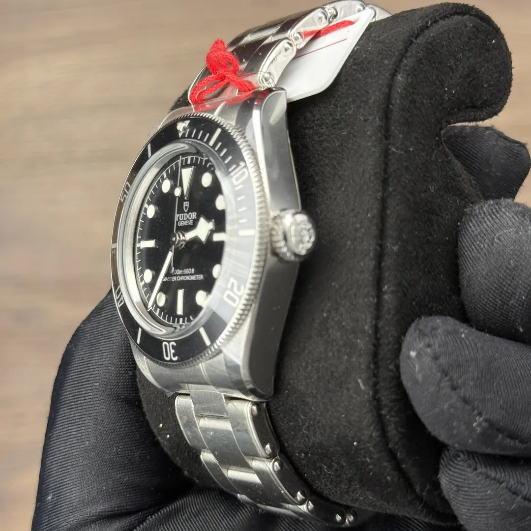 Tudor Black Bay Monochrome