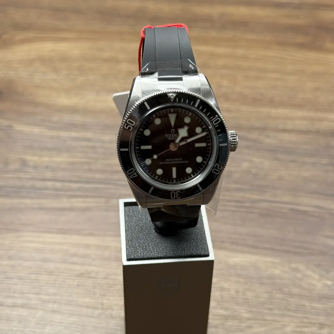 Tudor Black Bay Monochrome Rubber