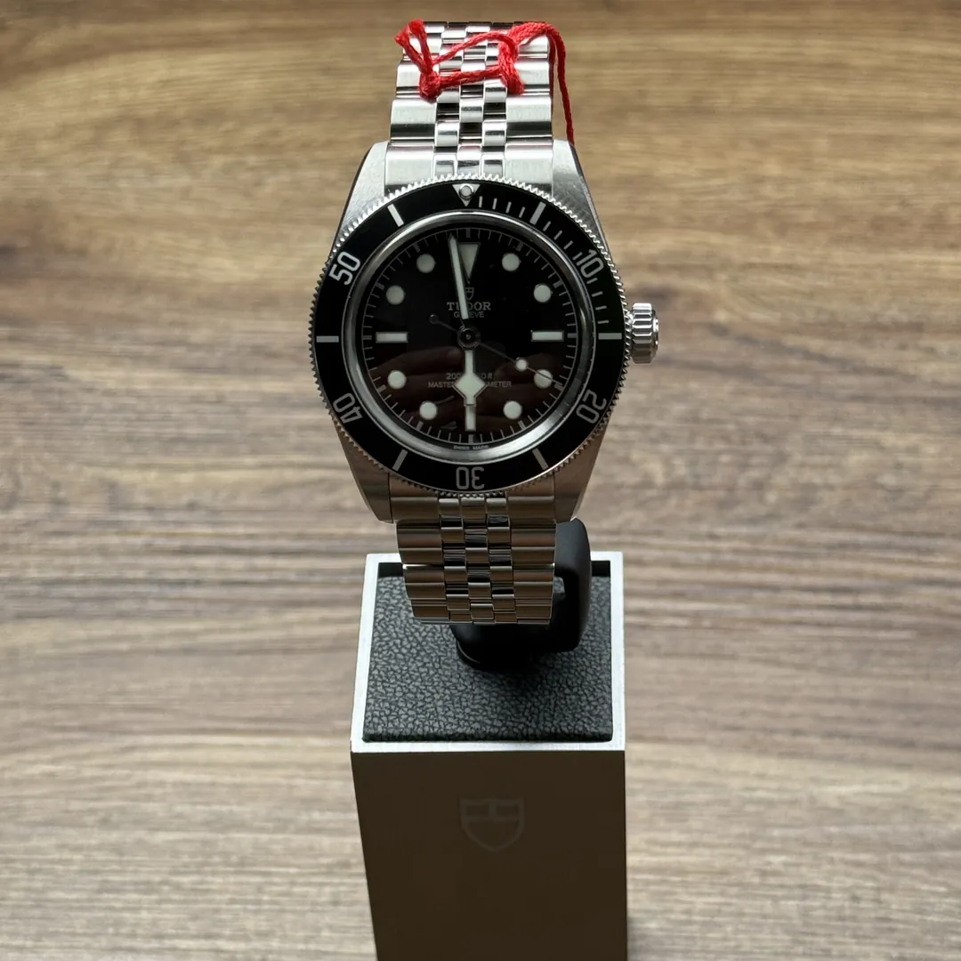 Tudor Black Bay Monochrome