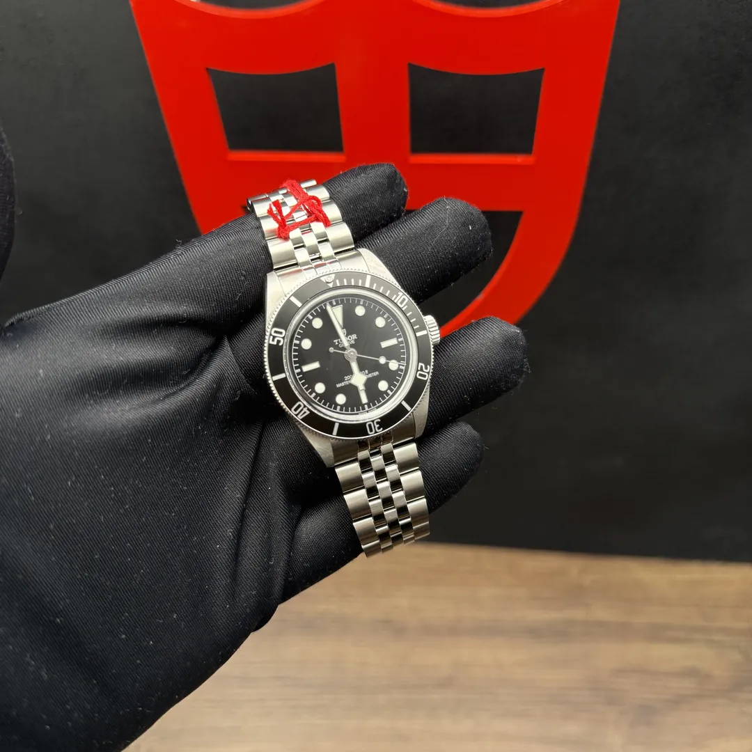 Tudor Black Bay Monochrome