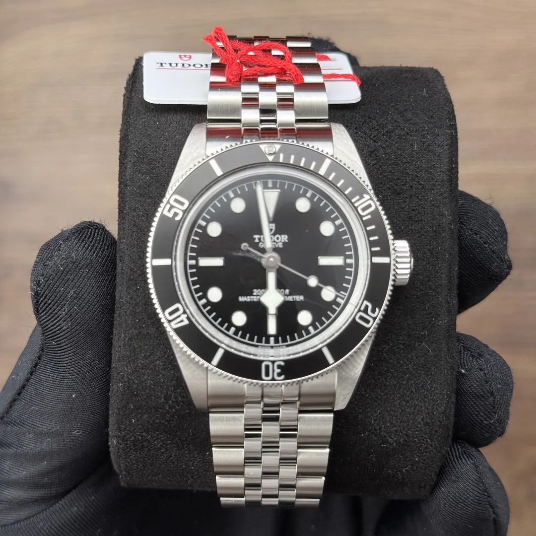 Tudor Black Bay Monochrome