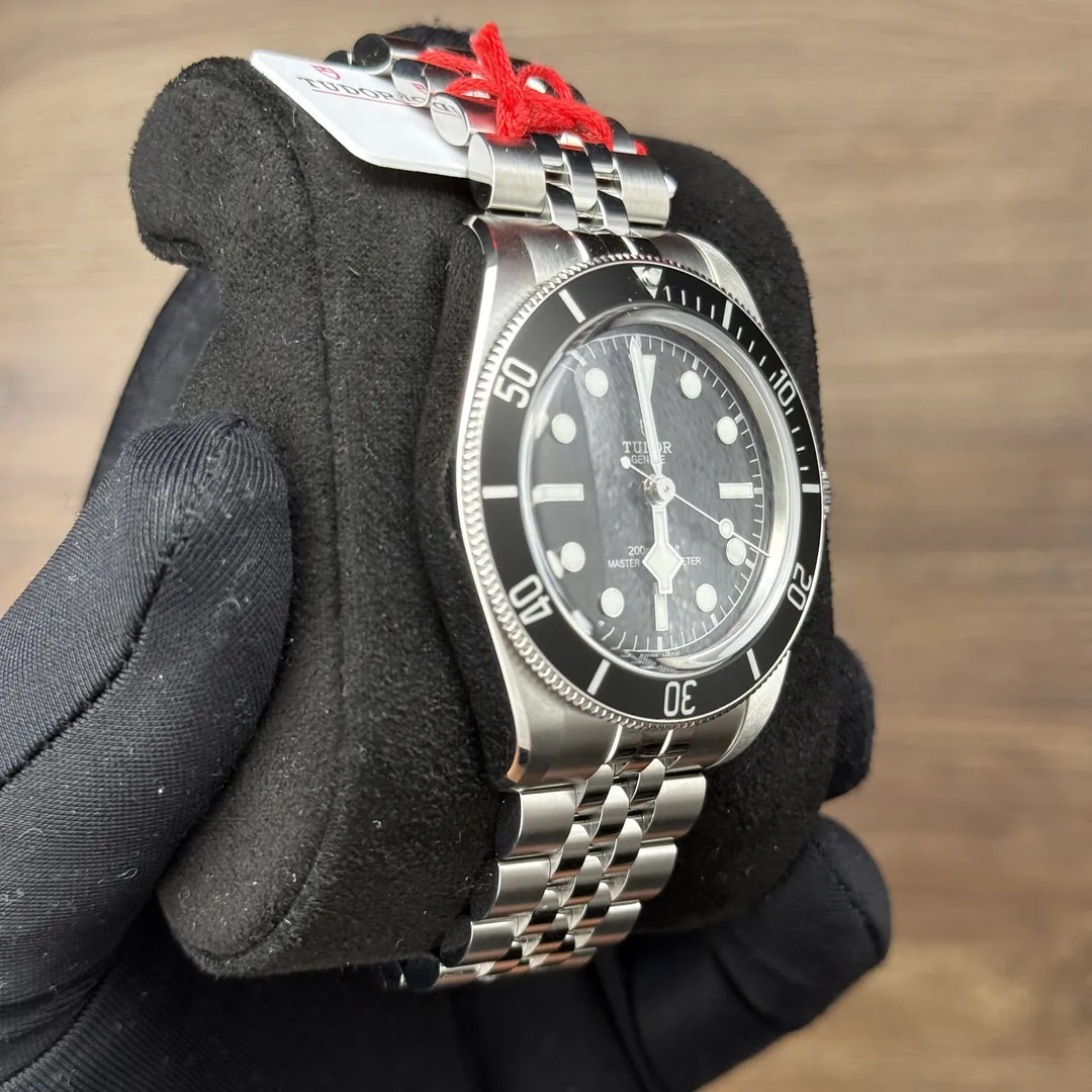 Tudor Black Bay Monochrome