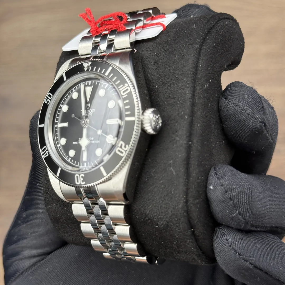 Tudor Black Bay Monochrome