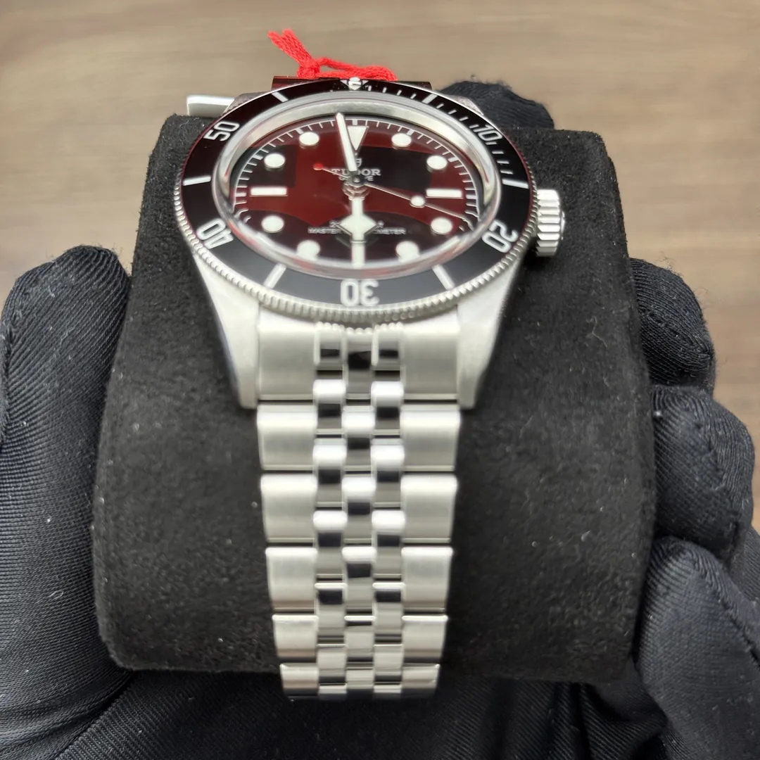 Tudor Black Bay Monochrome