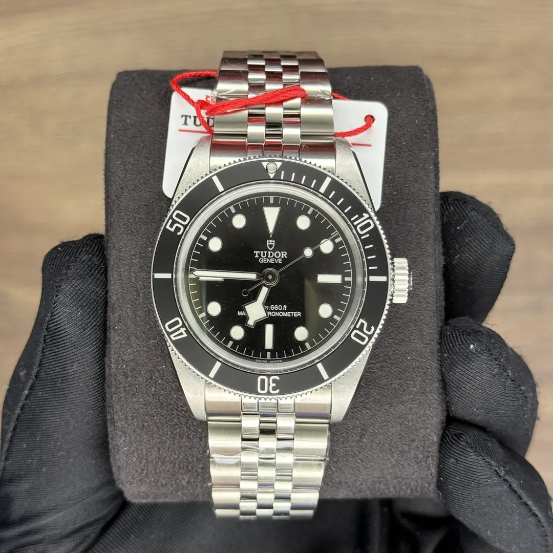 Tudor Black Bay Monochrome