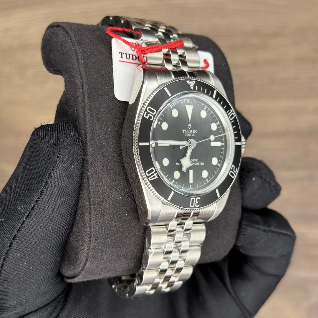 Tudor Black Bay Monochrome