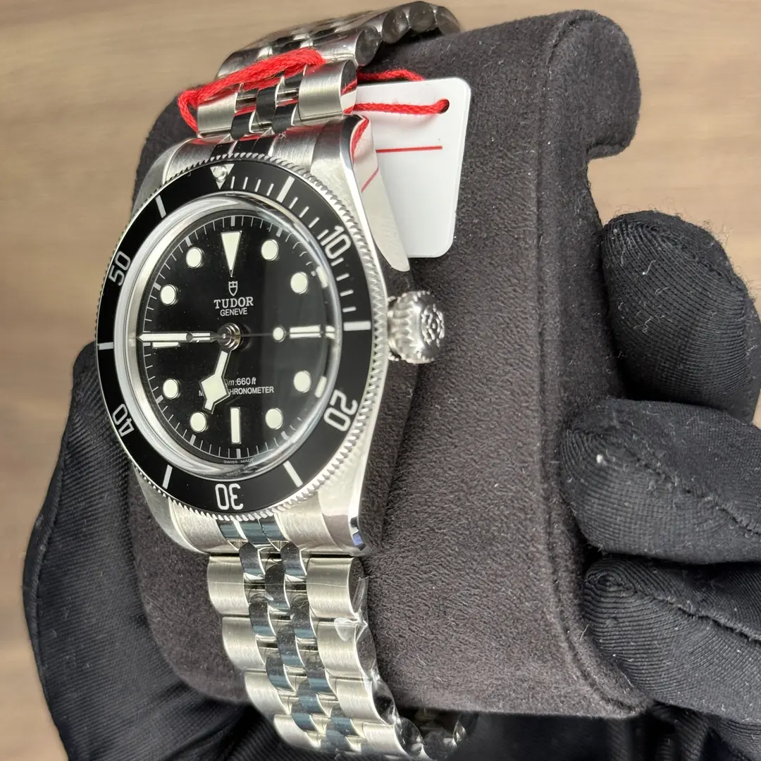Tudor Black Bay Monochrome
