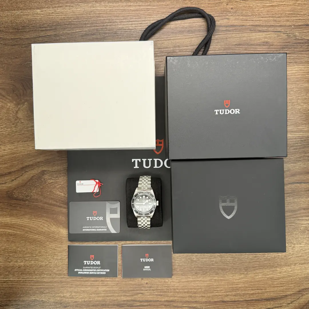 Tudor Black Bay Monochrome