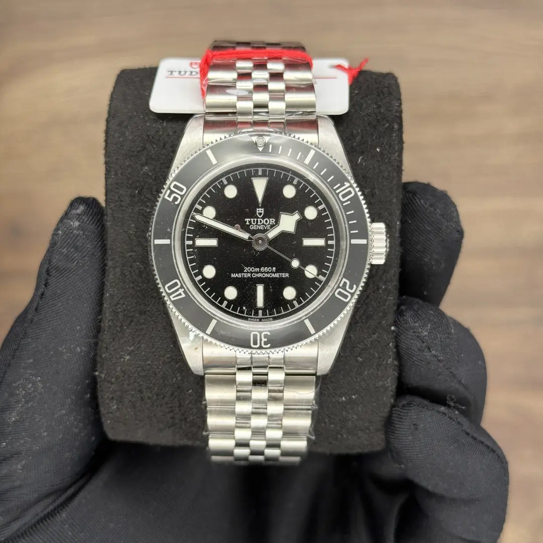 Tudor Black Bay Monochrome