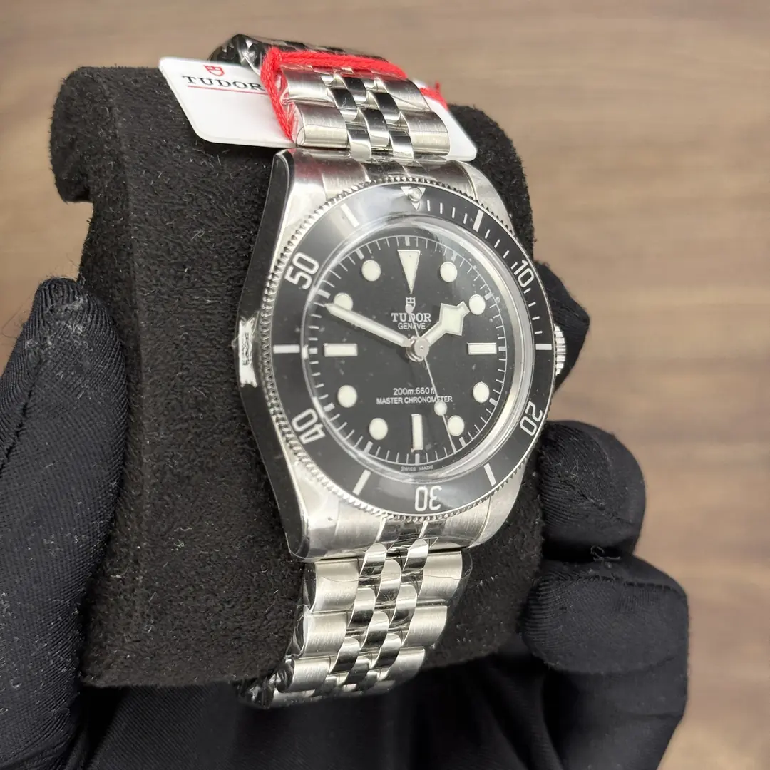 Tudor Black Bay Monochrome