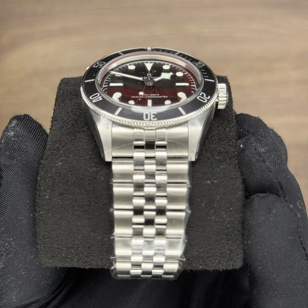 Tudor Black Bay Monochrome